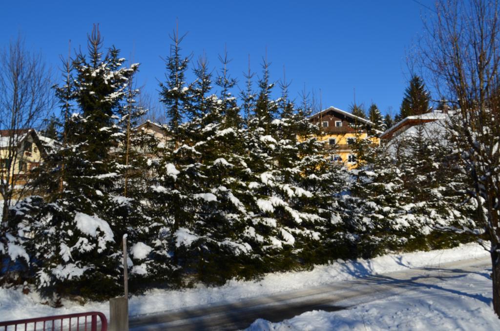 Hotel Alpengasthof D\u00F6llerhof Abtenau Exterior foto