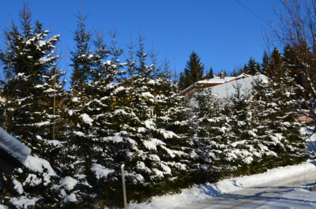 Hotel Alpengasthof D\u00F6llerhof Abtenau Exterior foto